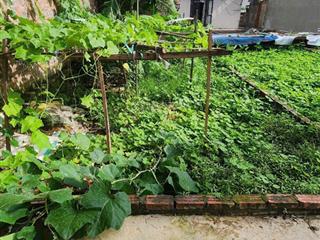 Bán đất vân hà vuông đẹp, trung tâm xã, 40m2, mt 4.5m, chào 2.45 tỷ, ô tô gần, đầu tư  xây ở