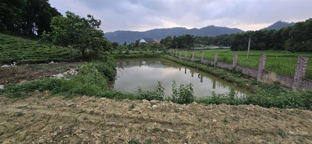 Bán 1ha đất nghỉ dưỡng phúc xuân trung giã gần hồ cầu bãi, không gian xanh hiếm có gần hà nội
