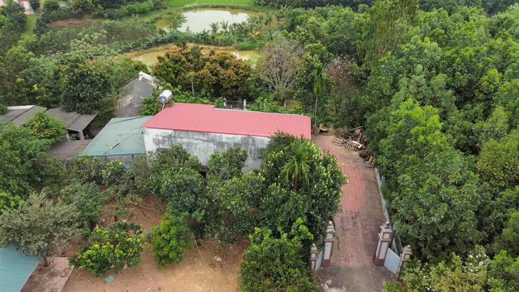 Bán 1ha đất nghỉ dưỡng phúc xuân trung giã gần hồ cầu bãi, không gian xanh hiếm có gần hà nội