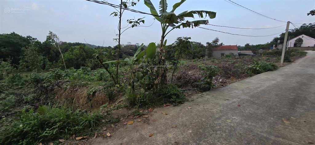 Bán đất nghỉ dưỡng 1100m² phúc xuân  trung giã, 3.85 tỷ, mt 20m, ô tô tải, thế đất cao