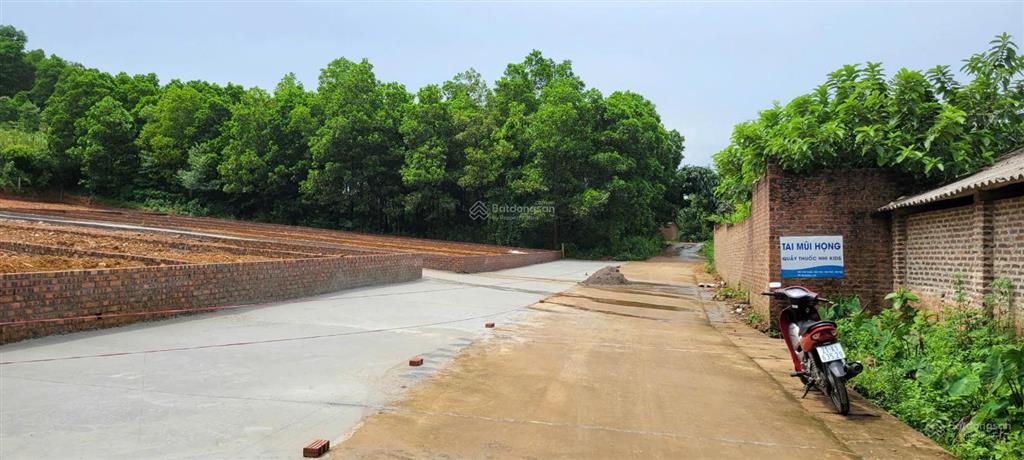 Bán đất đô lương  trung giã, đường thông 8m, gần hồ, 146m, mt 5m, 1.25 tỷ, 50m ra đường