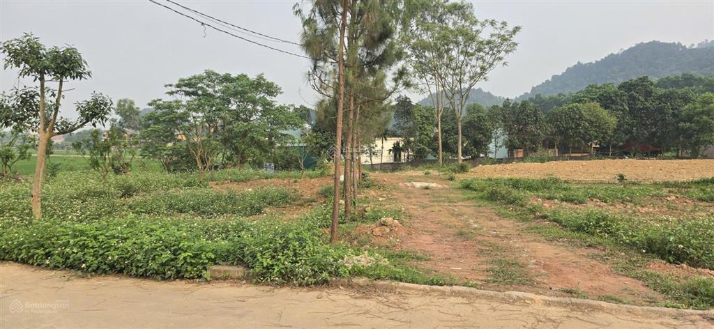 Bán đất lương hội  trung giã, 500m2, mt 25m, 3,3 tỷ, đường du lịch, kcn, chia lô, hồ nghỉ dưỡng