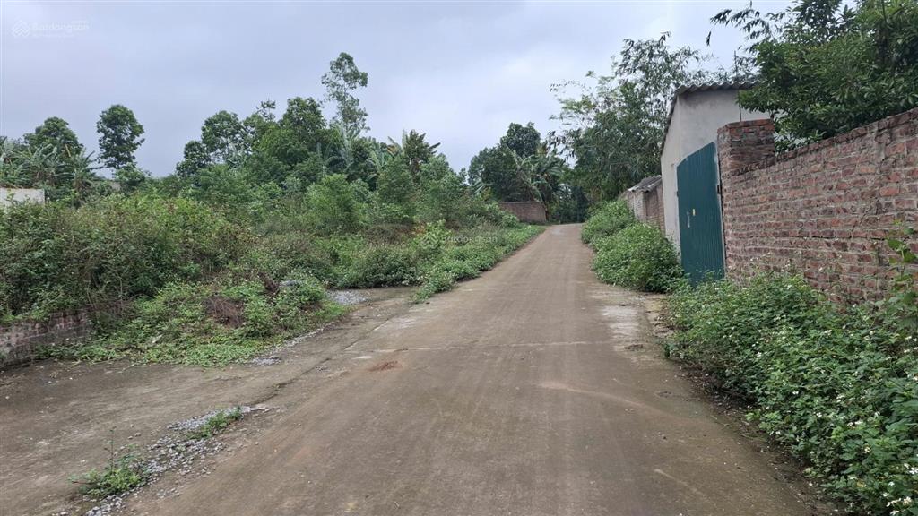Bán đất đô lương  trung giã, đường thông 8m, gần hồ, 146m, mt 5m, 1,25 tỷ, 50m ra đường