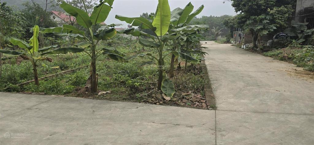 Bán đất phúc xuân trung giã, 100m2 lô góc 2 mặt tiền nở hậu, gần khu nghỉ dưỡng diều sóc sơn