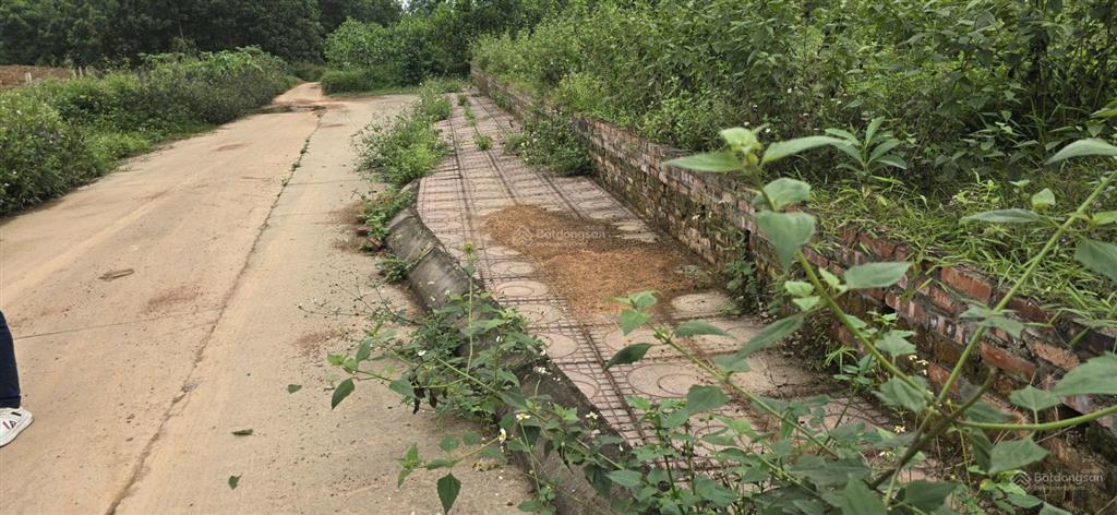 Bán đất đô lương trung giã, 107m mt 5m, giá 900 triệu, ô tô tránh vỉa hè rộng