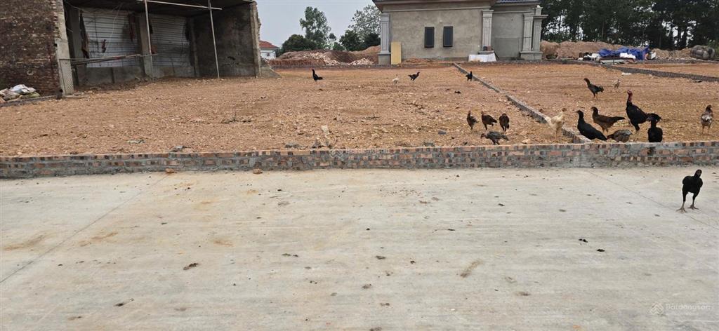 Bán đất lương hội trung giã | 200m 1.4 tỷ | ô tô tránh giá tốt khu vực
