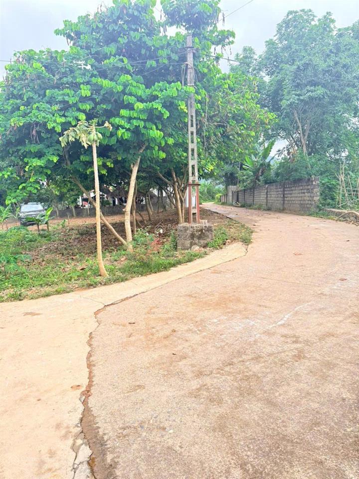 Chính chủ cần bán đất lương sơn, hòa bình, dt 1473,9m2, lô góc 2 mặt tiền, sổ đỏ sang tên ngay