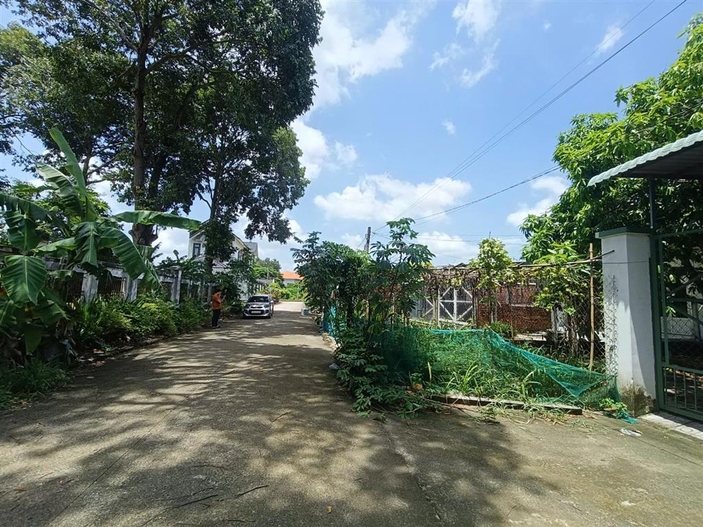 Nhà vườn + đất 361m (110m thổ cư) mặt tiền đường trung lập, thái mỹ, củ chi giá chỉ 1,45 tỷ