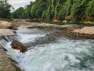 Chính chủ cần bán 10.000m2 có 600m2 đất ở, view suối.