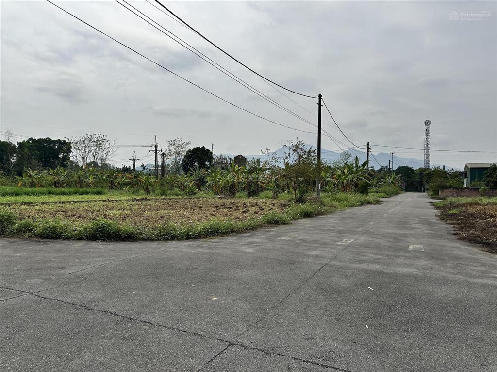 Đất phân lô khu tái định cư đồng doi yên bài, ba vì. 350m² lô góc full đất ở.