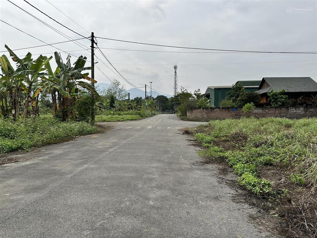 Đất phân lô khu tái định cư đồng doi yên bài, ba vì. 350m² lô góc full đất ở.