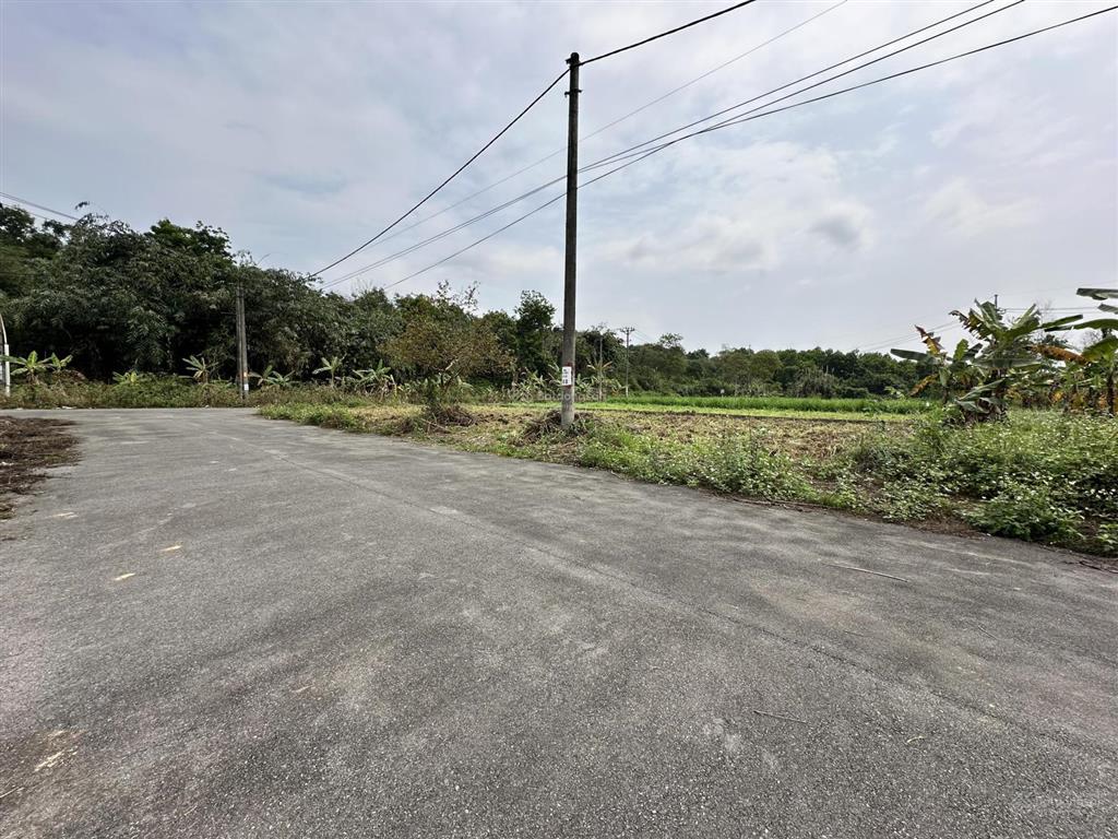 Đất phân lô khu tái định cư đồng doi yên bài, ba vì. 350m² lô góc full đất ở.