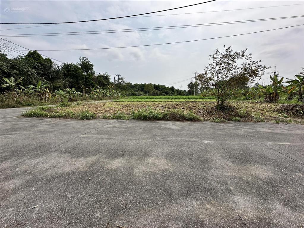 Đất phân lô khu tái định cư đồng doi yên bài, ba vì. 350m² lô góc full đất ở.