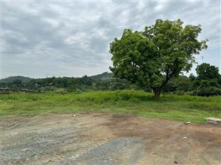 Đất đẹp giá cực hời cách đường dfoong dương vài bước chân