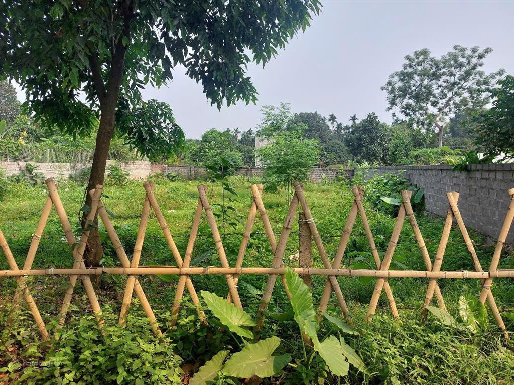 Lô đất nghỉ dưỡng liên sơn view đẹp, giá mềm cho nhà đầu tư