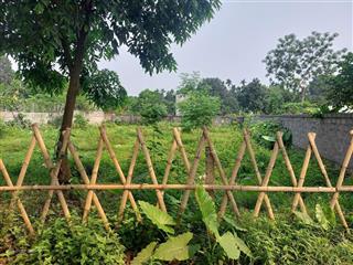 Lô đất nghỉ dưỡng liên sơn  view đẹp, giá mềm cho nhà đầu tư