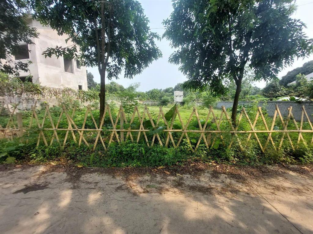 Lô đất nghỉ dưỡng liên sơn view đẹp, giá mềm cho nhà đầu tư
