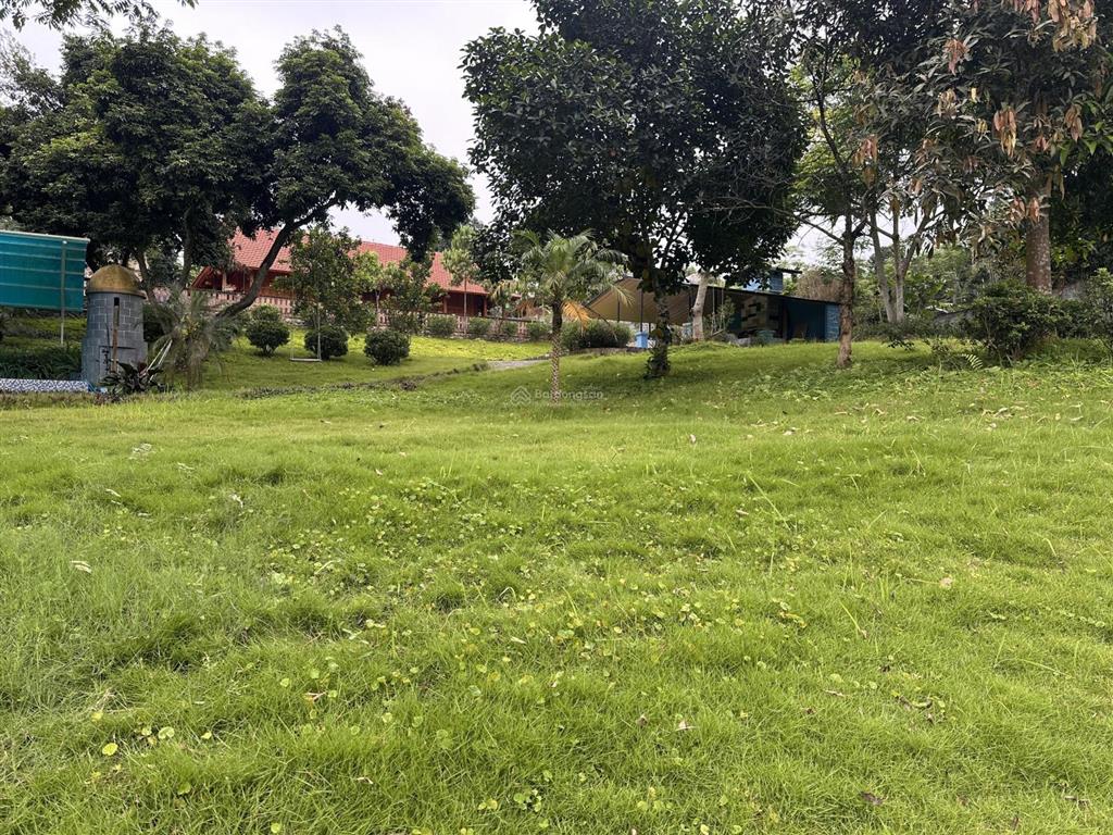 Khuôn viên xanh view cánh đồng đầy đủ tiện nghi chỉ việc về ở, kinh doanh dòng tiền.
