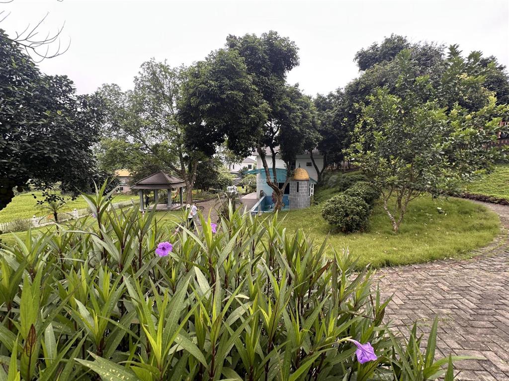 Khuôn viên xanh view cánh đồng đầy đủ tiện nghi chỉ việc về ở, kinh doanh dòng tiền.
