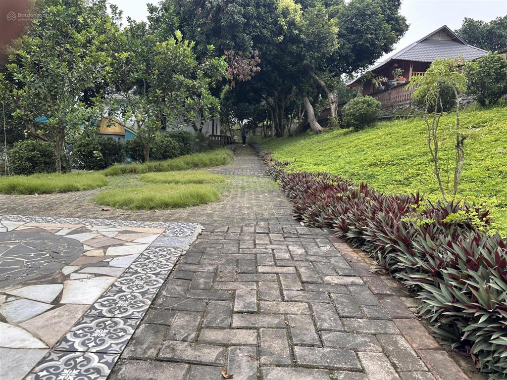Khuôn viên xanh view cánh đồng đầy đủ tiện nghi chỉ việc về ở, kinh doanh dòng tiền.