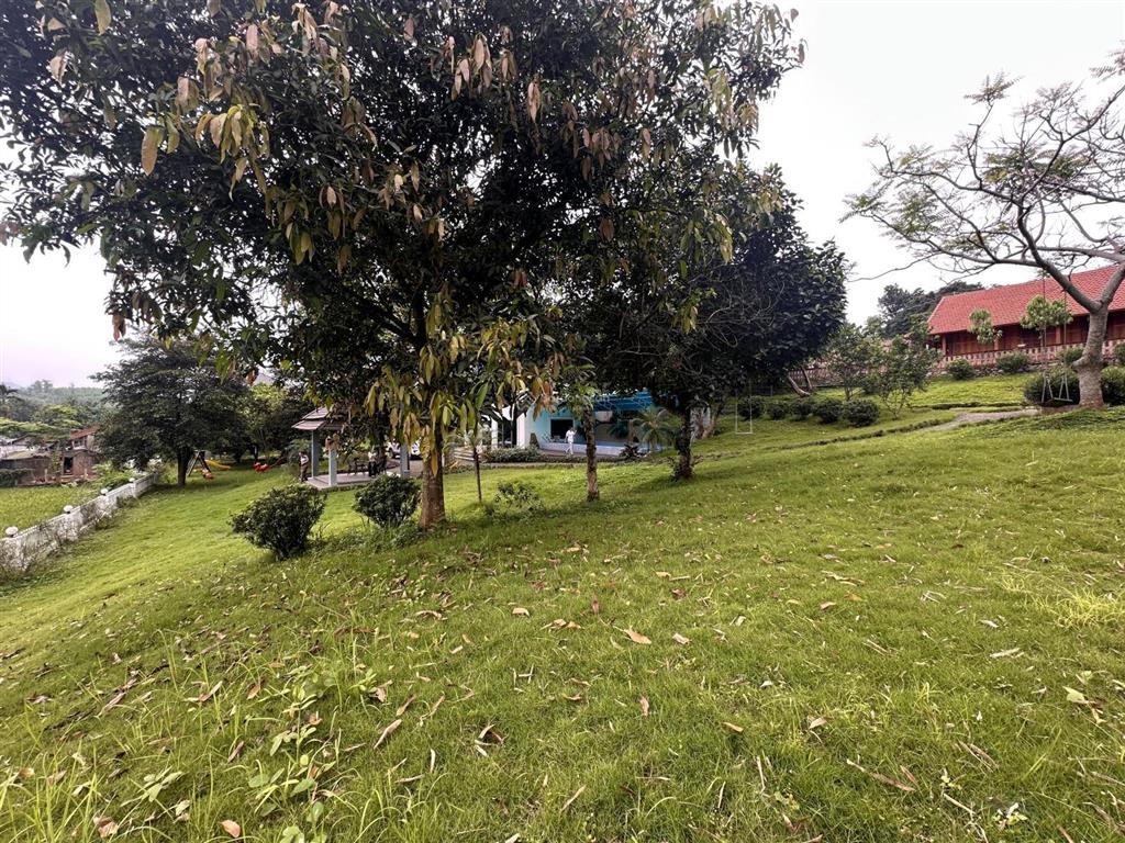 Khuôn viên xanh view cánh đồng đầy đủ tiện nghi chỉ việc về ở, kinh doanh dòng tiền.