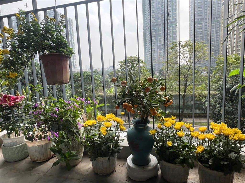 The miami vin tây mỗ. gs5 2n 64m2. chỉ 5,320tỷ bao thuế phí. nhà mới nhận. hướng mát căn góc thoáng