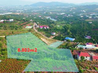 Liền kề khu nhà nghỉ dưỡng cần bán gần 9 sào đất nam ban, giá chỉ 590 nghìn/m2