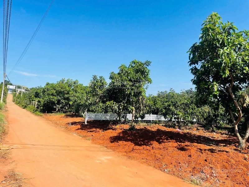 Cách hồ bãi công 100m, cần bán gấp lô đất ngang 12m, có thổ cư, shr