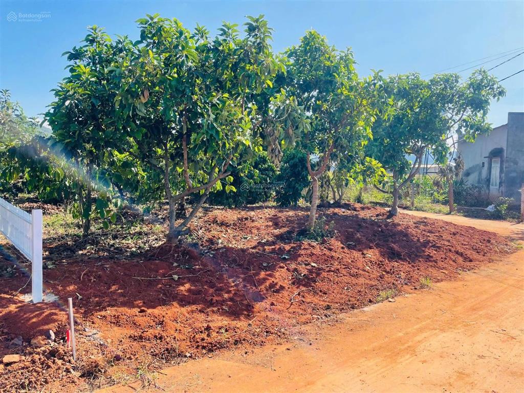 Cách hồ bãi công 100m, cần bán gấp lô đất ngang 12m, có thổ cư, shr