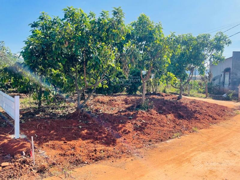 Cách hồ bãi công 100m, cần bán gấp lô đất ngang 12m, có thổ cư, shr