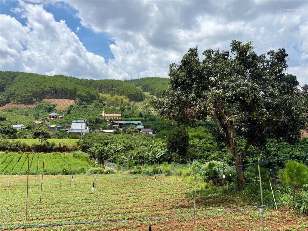 Bán đất gần chùa linh ẩn  cách 900m, giá chỉ 590 triệu