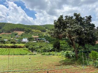 Bán đất gần chùa linh ẩn  cách 900m, giá chỉ 650 triệu