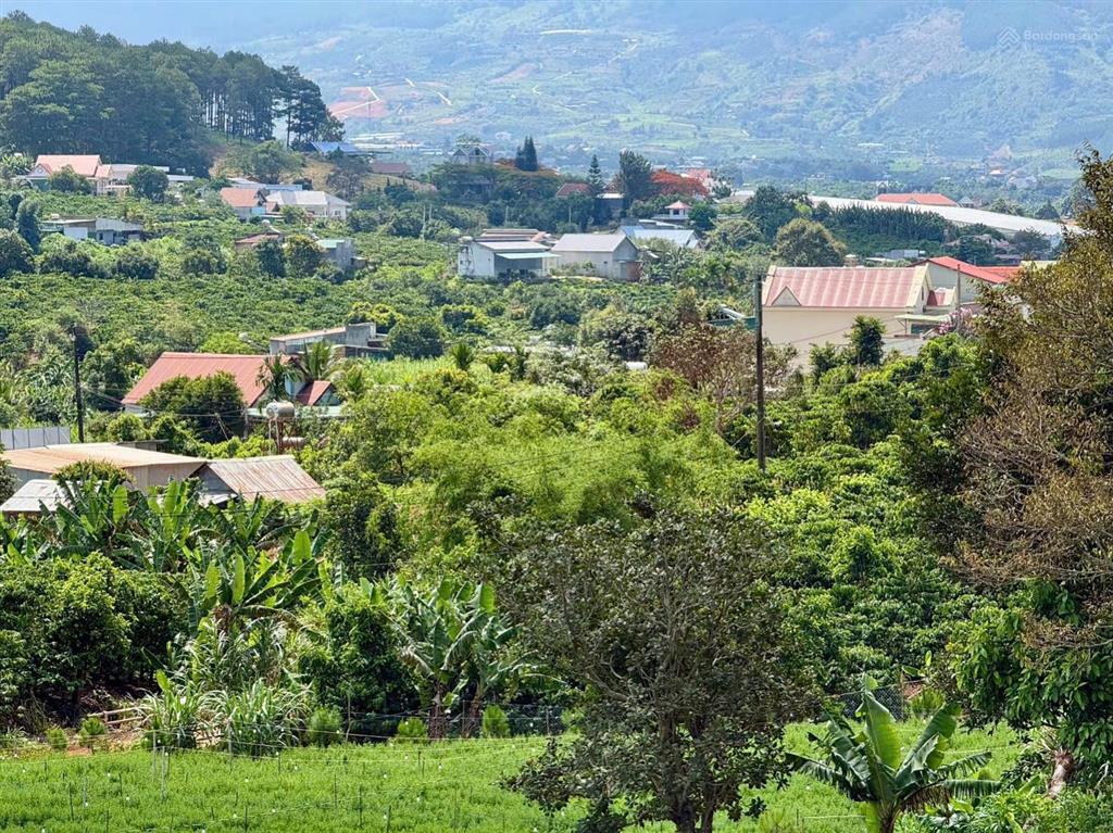 Bán đất gần chùa linh ẩn  cách 900m, giá chỉ 590 triệu