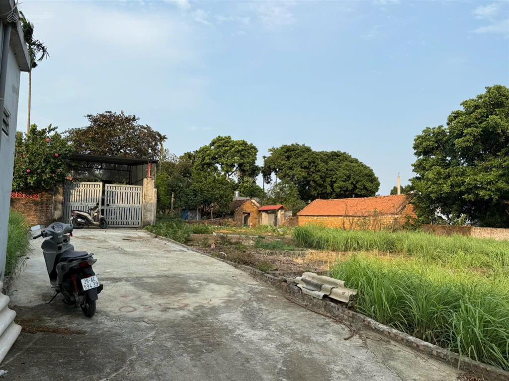 100m thổ cư mà giờ này giá chỉ có 2 tỷ thôi anh chị ạ. những mảnh xung quanh ít nhất cũng 2,5 tỷ