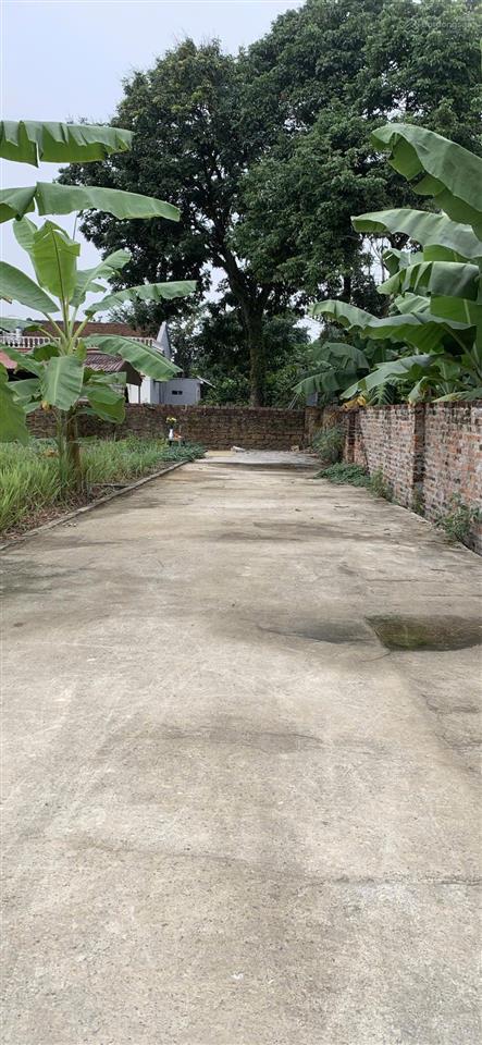 2 tỷ được 100m thổ cư tất đường trước đất 4m. cách trục đường nhựa chỉ 80m. cách khu cn chỉ 150m.