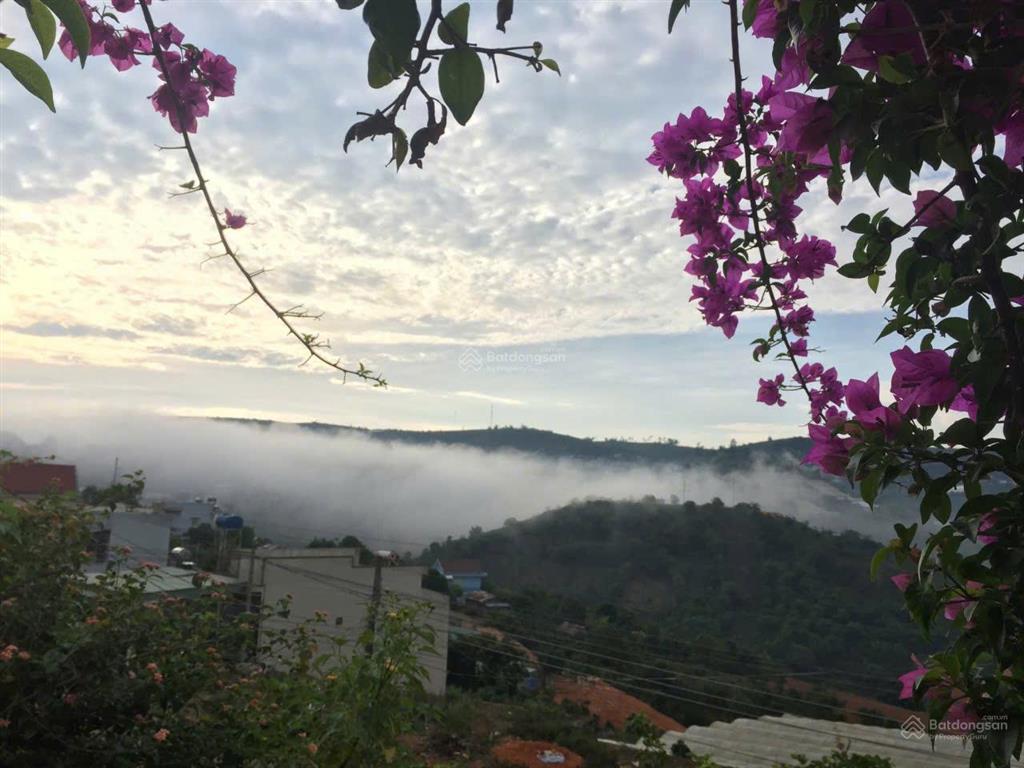 Đất biệt thự tặng căn nhà cấp 4, phường xuân trường, đà lạt. view rừng thông, sổ riêng, giá 2,3tỷ