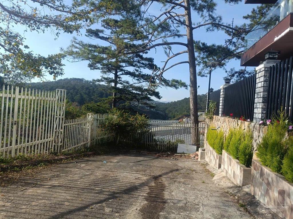 Đất biệt thự view rừng thông, đường măng lin, đà lạt. dt 200m2, đường ô tô. cách hxh 8km. 3.2 tỷ