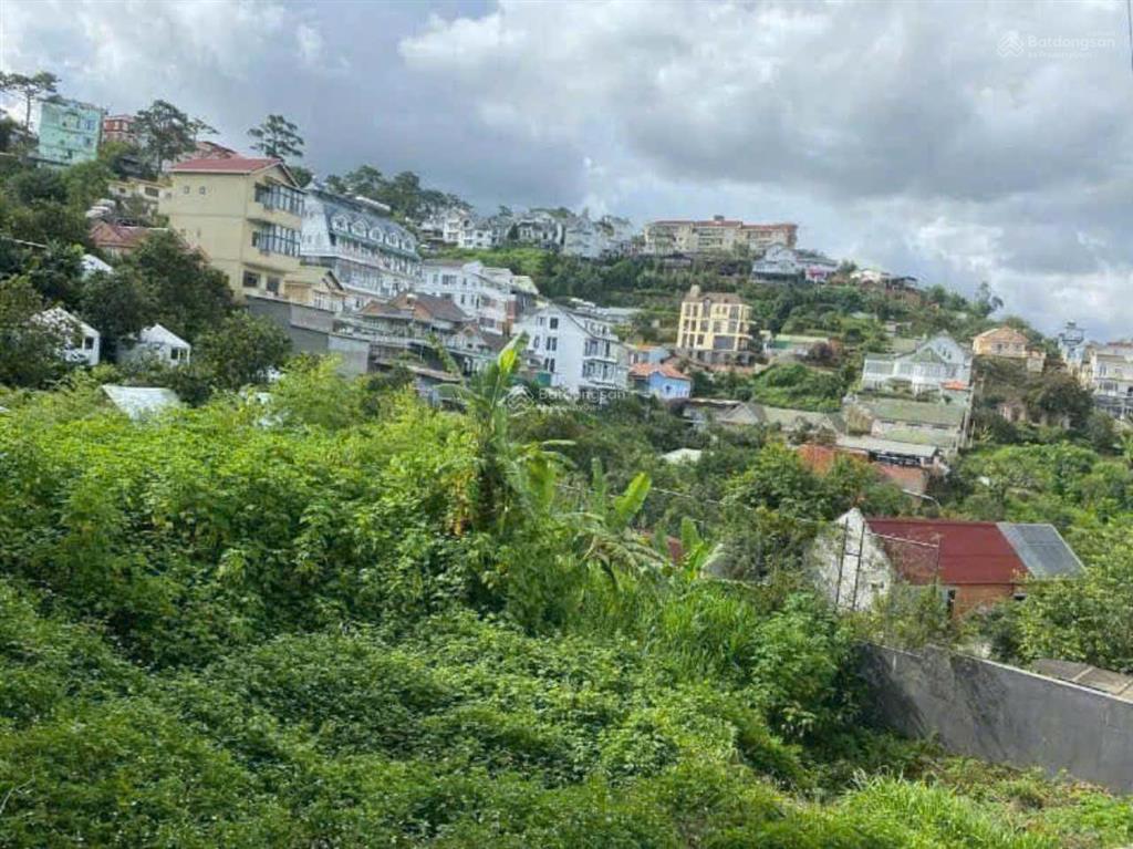 Đất biệt thự đường khe sanh, diện tích 200m2 srxd, view rừng thông đẹp. đường ô tô. giá 6.8 tỷ