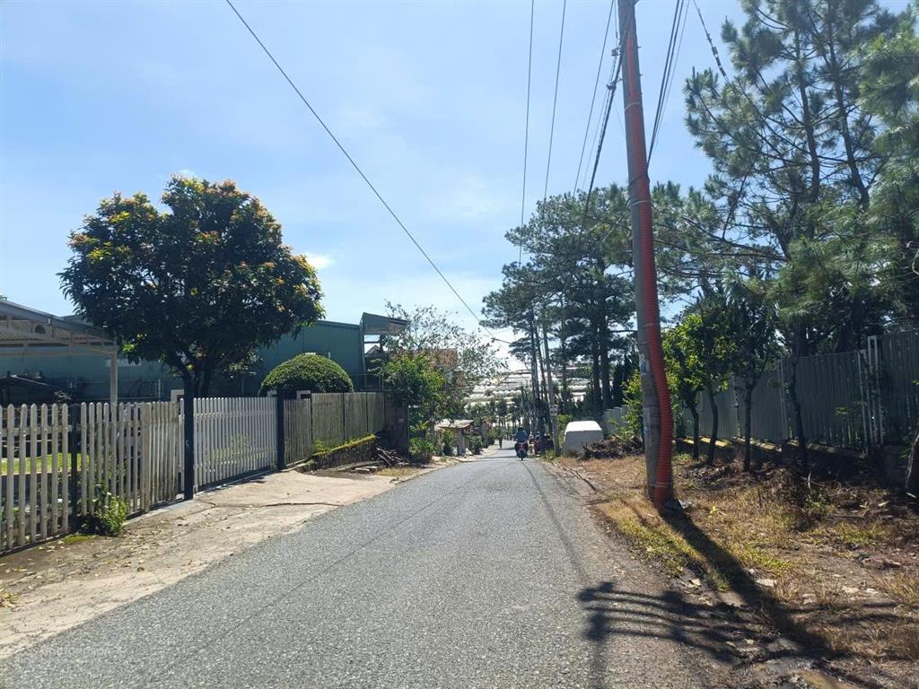 Bán đất tặng nhà đường hồ xuân hương, p9, tp đà lạt. dt 182m2, gần ngã 4 phan chu trinh, đường ô tô