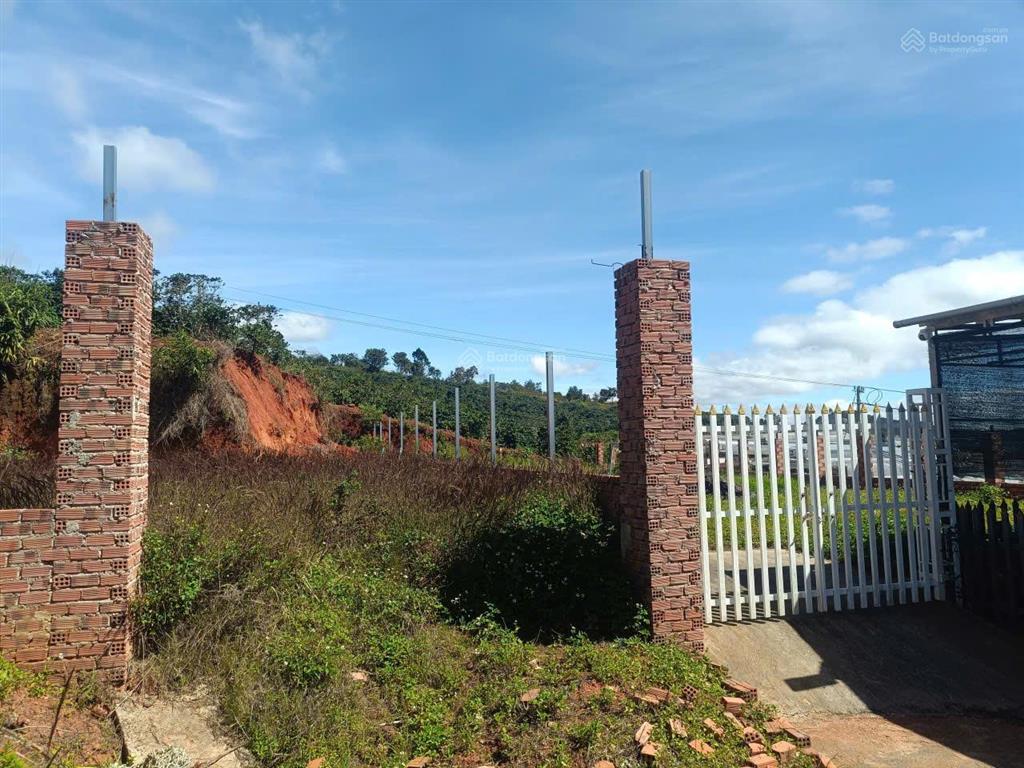 Đất biệt thự xuân thọ, tp đà lạt. dt 236m2 full thổ cư, view thông đẹp, đường ô tô. giá 3.5 tỷ