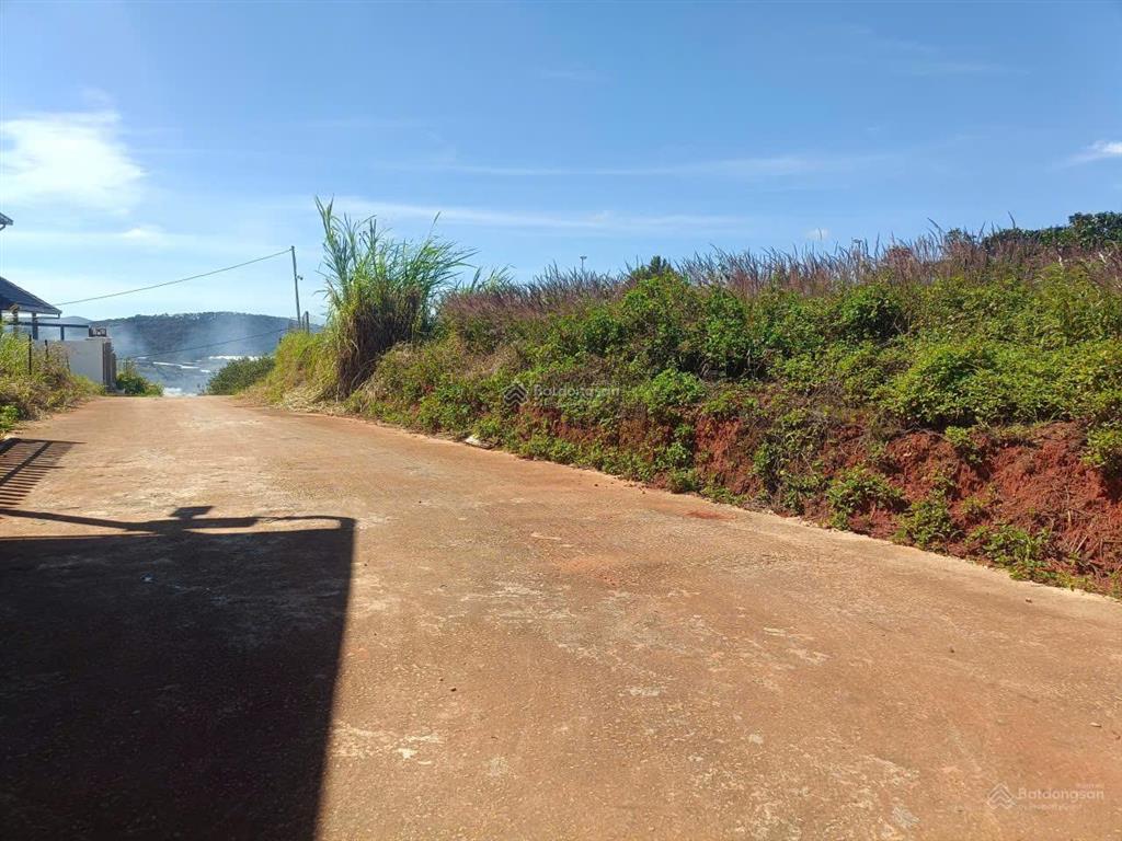 Đất biệt thự xuân thọ, tp đà lạt. dt 236m2 full thổ cư, view thông đẹp, đường ô tô. giá 3.5 tỷ