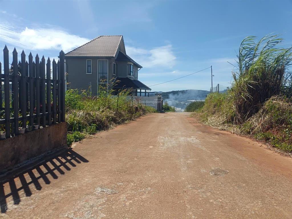 Đất biệt thự xuân thọ, tp đà lạt. dt 236m2 full thổ cư, view thông đẹp, đường ô tô. giá 3.5 tỷ