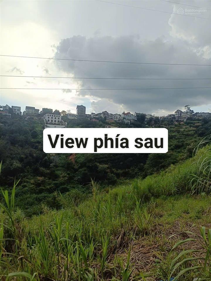Đất biệt thự view rừng thông đường hoàng hoa thám, đà lạt. dt 251m2, đường ô tô. giá 7.9 tỷ
