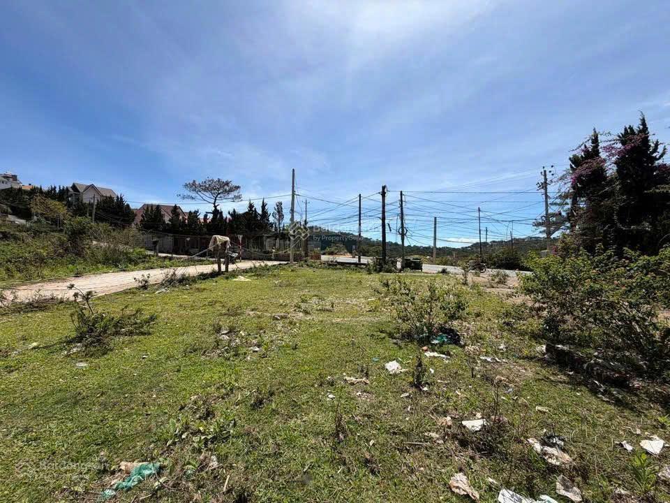 Đất đẹp, view rừng thông mặt tiền đường chính cam ly. dt 700m2. giá 10,9 tỷ