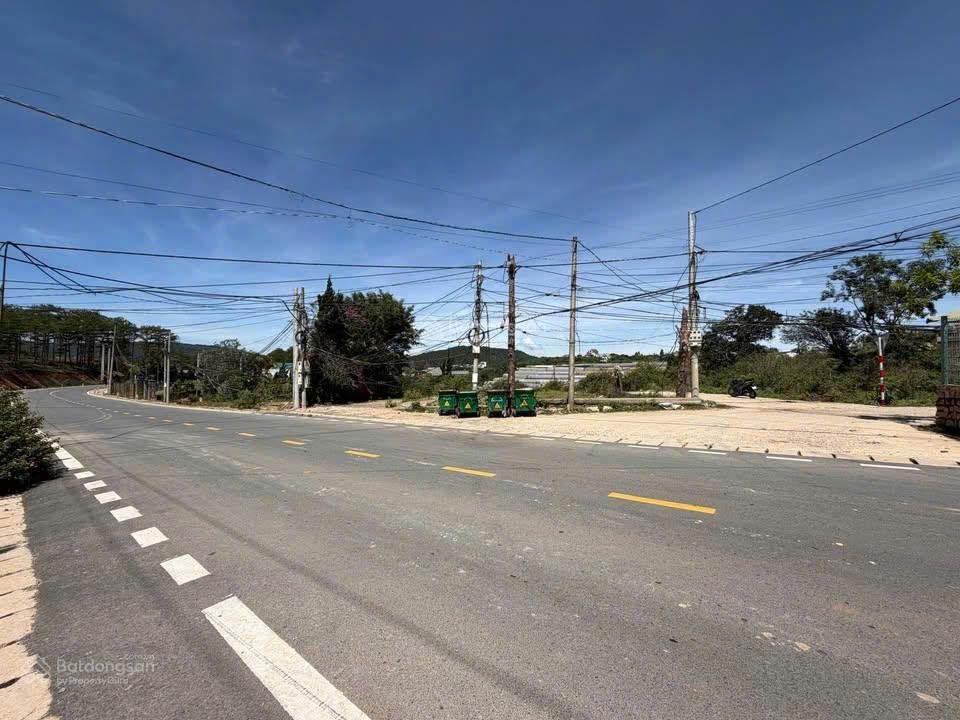 Đất đẹp, view rừng thông mặt tiền đường chính cam ly. dt 700m2. giá 10,9 tỷ