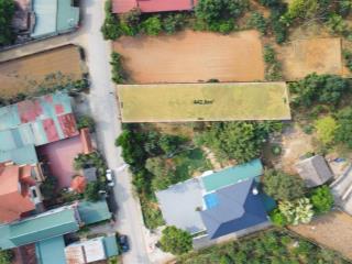 Chính chủ cần bán lô đất vàng 442.8m²  mặt tiền 10m  đường nhựa 10m  khu dân cư đông đúc