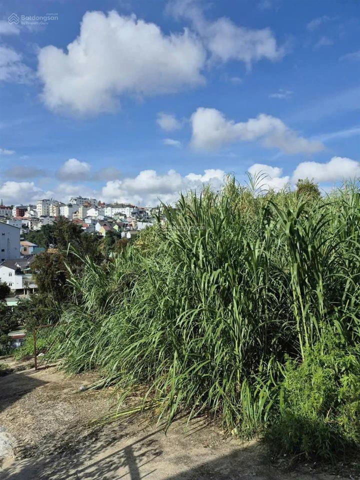 Cần bán đất xây dựng đường nguyễn trung trực, cách hồ xuân hương khoảng 2km, view thành phố