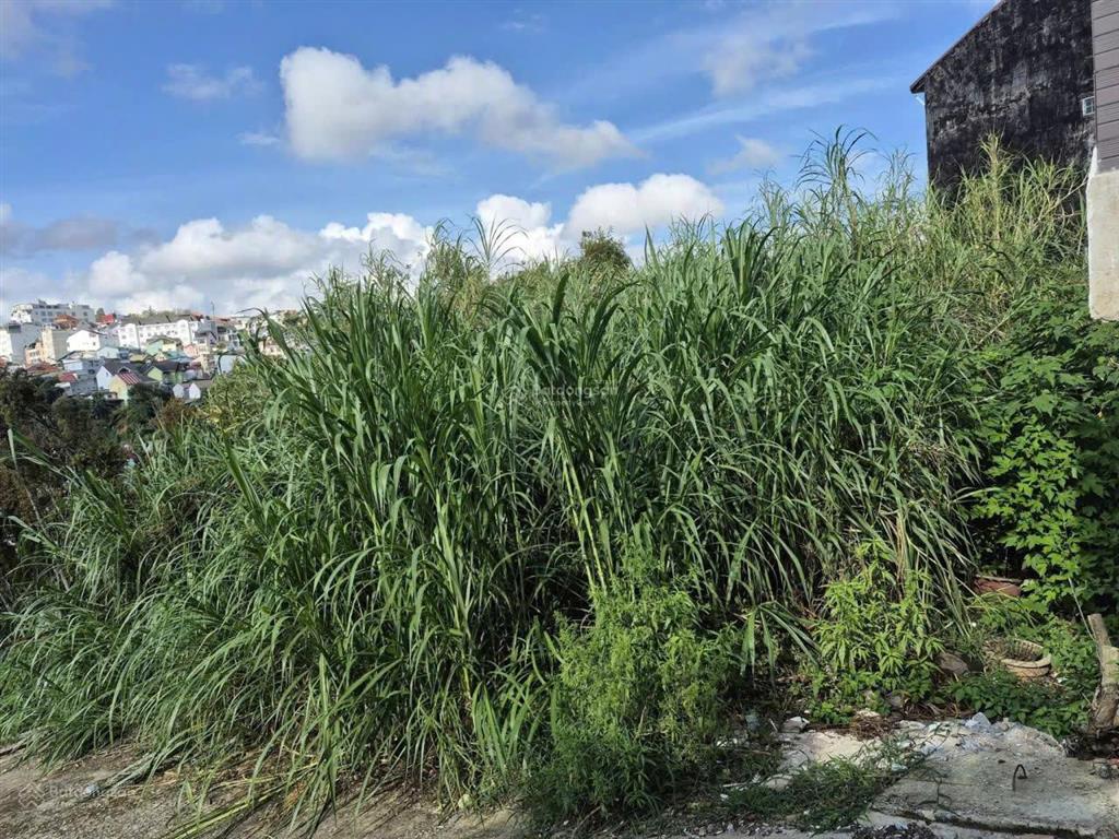 Cần bán đất xây dựng đường nguyễn trung trực, cách hồ xuân hương khoảng 2km, view thành phố
