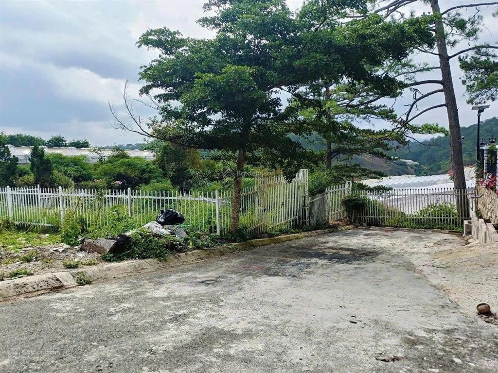 Đất xây dựng 2 mặt tiền khu phố fivestar măng lin, phường 7, view rừng thông, đường ô tô 2 chiều