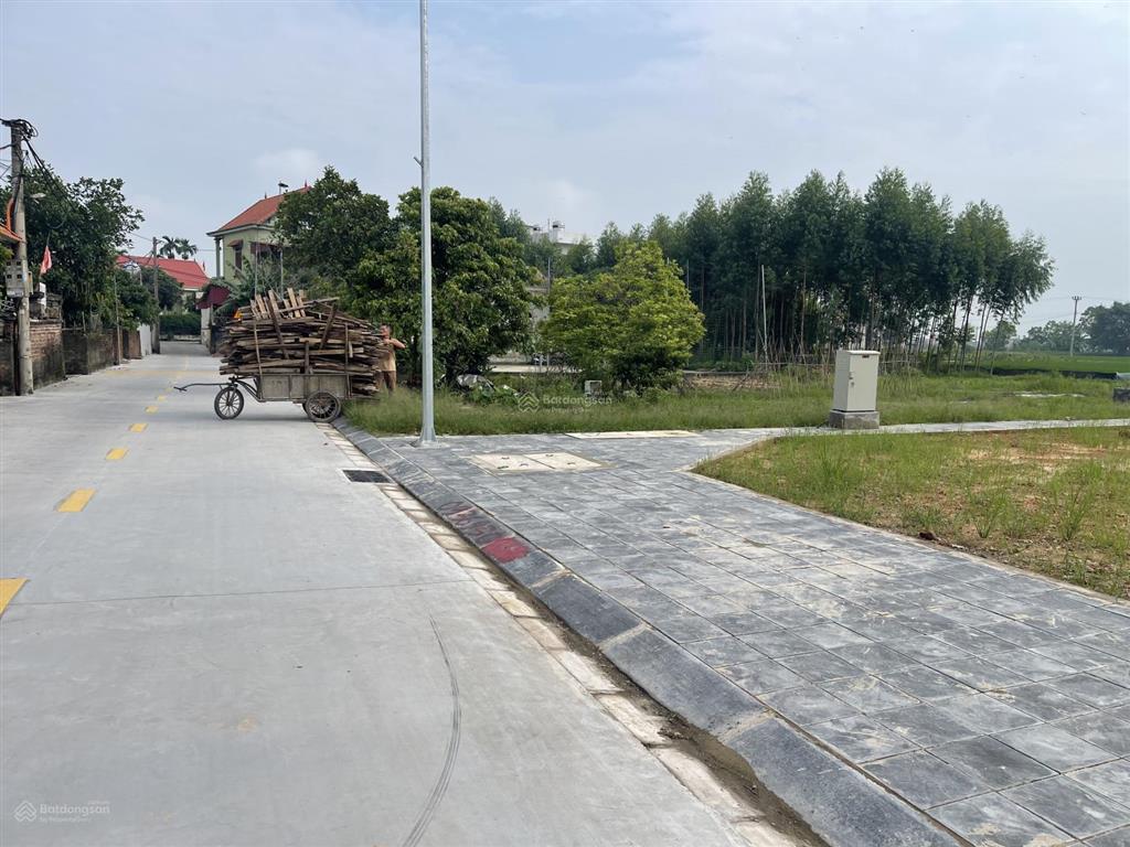 Bán đất tại khu đấu giá, phong nội, bình dân, kim thành cũ, 99m2 ngang 5,5m đường 5,5m giá 9,8tr/m